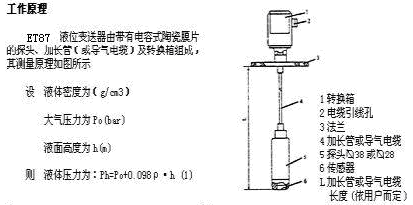 ET87投入式液位变送器外形尺寸