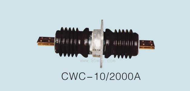 CWC-10/2000Aʹǽ׹