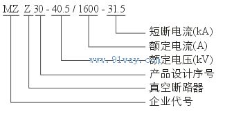 MZZ30-40.5/1600-31.5户外高压真空断路器型号说明