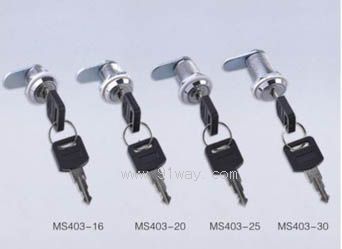 MS403͵