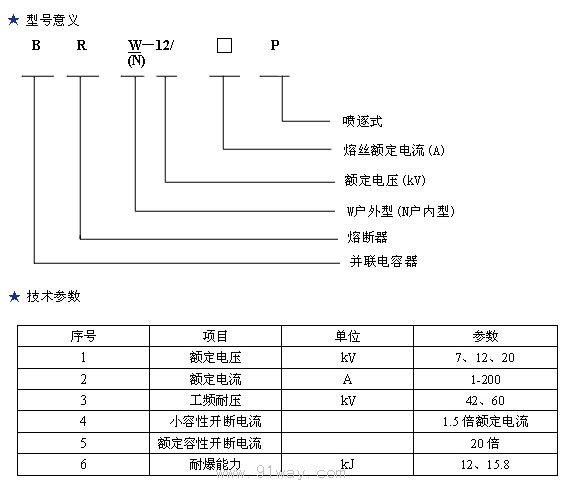 BR2 BR1 BRW BRN BRW2 BR RN RNY1 RNG RW型高压电容器专用熔断器型号说明及技术参数