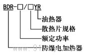 BDR-□YR系列防爆电加热器（油汀）（ⅡB）型号说明