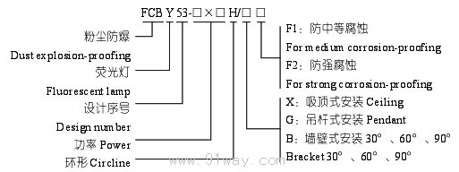 FCBY53-H粉尘防爆环形荧光灯(DIP)型号说明
