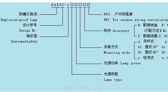 BAD52-e系列增安型防爆防腐灯(e)选型说明
