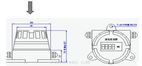 BT311ͶʽҺλCͼ