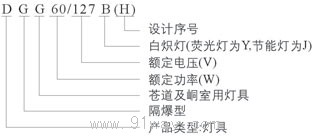 DGG60/127B(H)系列矿用型白炽灯型号说明