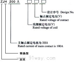 ZJH-200A(DZJ)ֱӴͺ˵