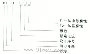 BH51系列防爆闸刀开关(IIB、IIC级)型号说明