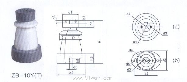 ZB-10Y(T)ѹ֧Ե